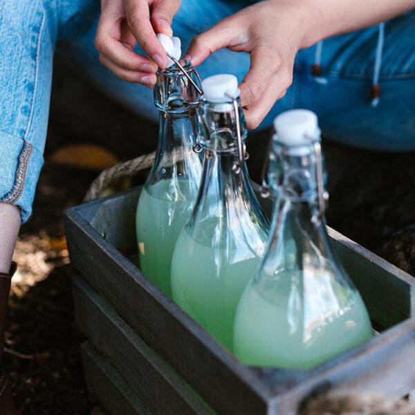 250ml 500ml 750ml 1000ml Swing top juice bottle