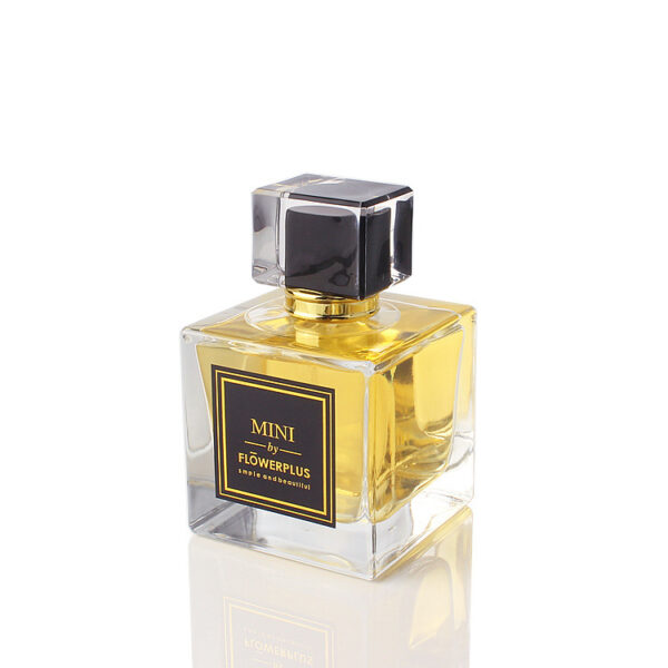 Wholesale 30ml50ml100ml square clear perfume bottle spray cap