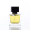 Wholesale 30ml50ml100ml square clear perfume bottle spray cap